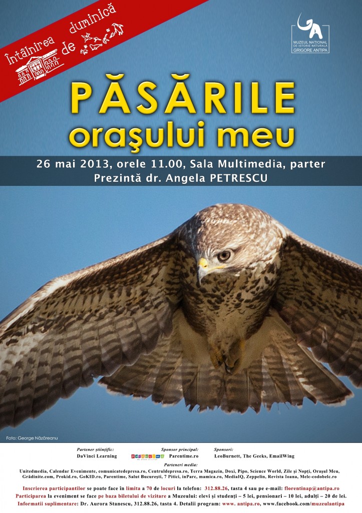 Pasarile Orasului Meu