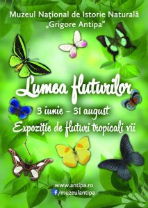 Afis Lumea fluturilor Antipa