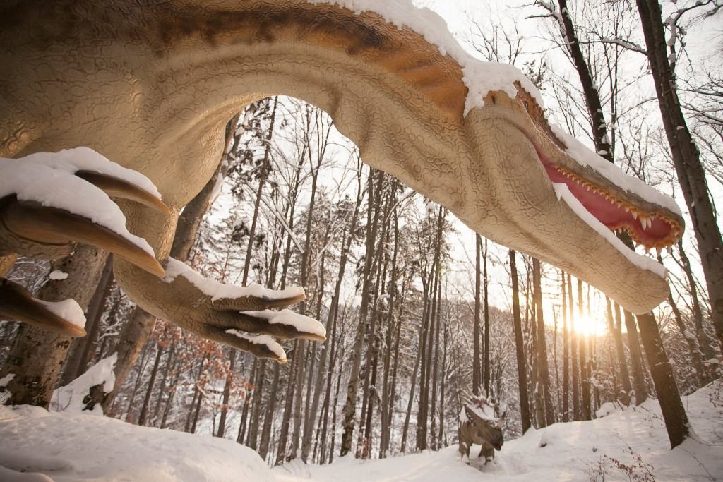 Dino-Parc-Rasnov-dinozauri-marime-naturala-3