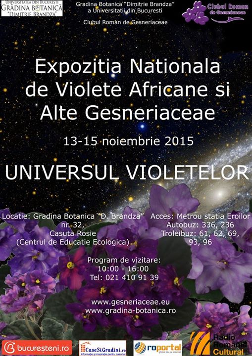 expozitia nationala de violete africane