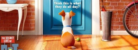 The Secret Life of Pets 2016 singuri acasa