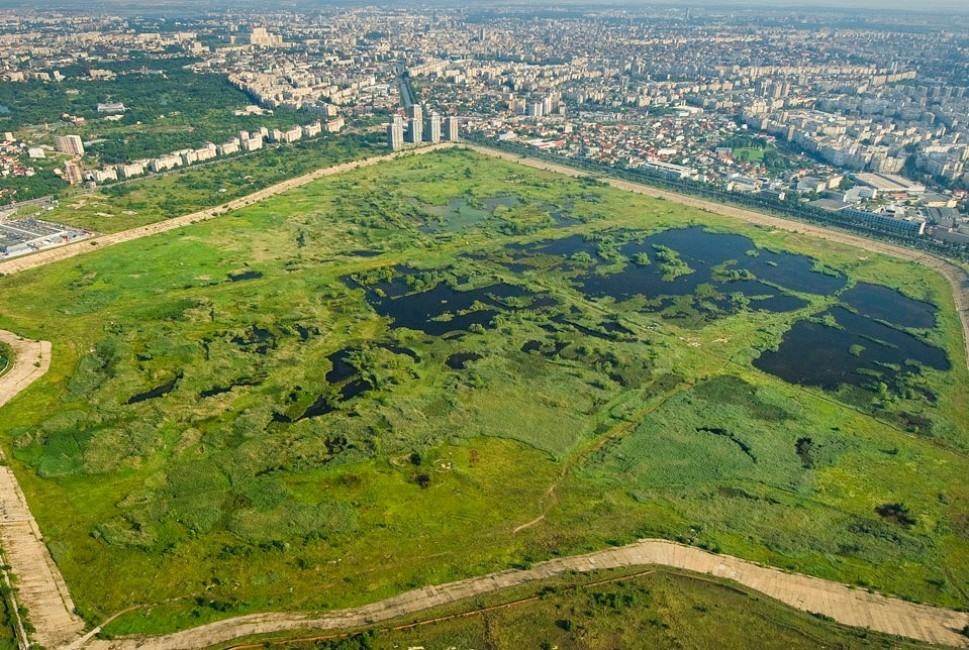 Parcul Natural Văcărești