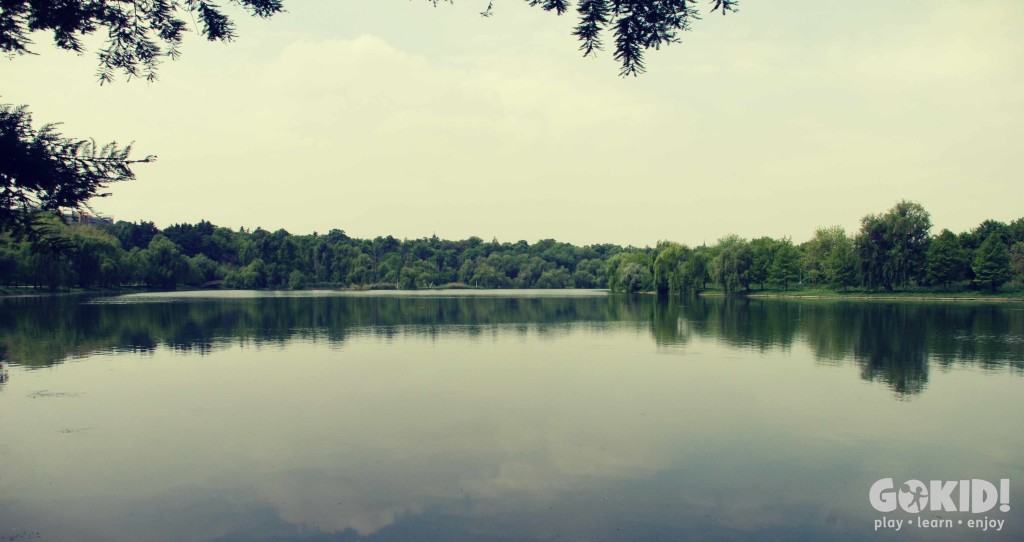 Parcul Tineretului lac liniste