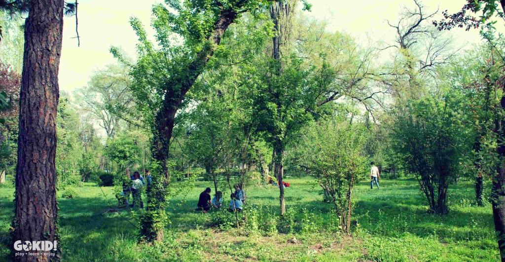 Parcul Carol joaca pe iarba