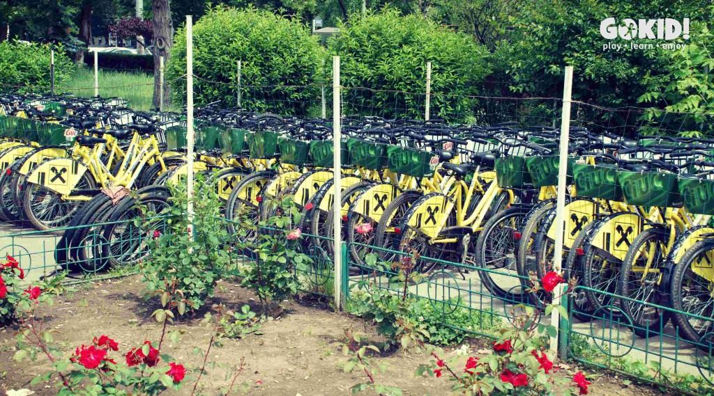 Parcul Tineretului biciclete i'Velo