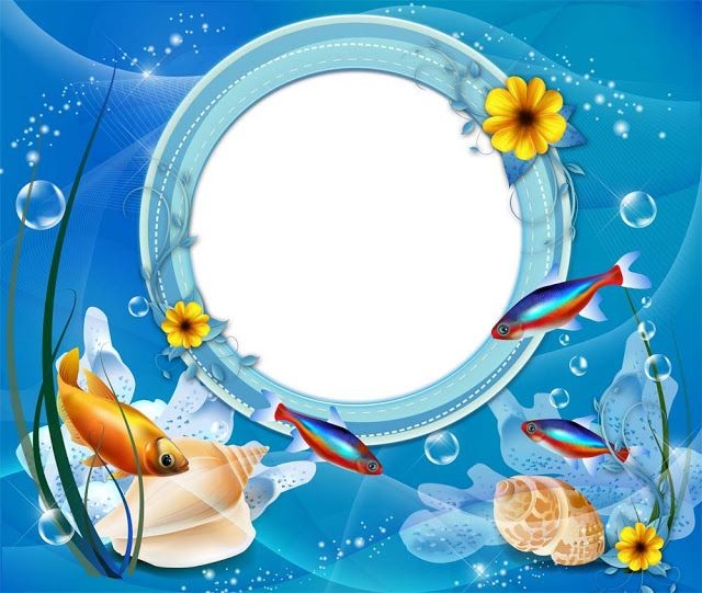 ateliere Program Vacanta Saptamana 3 Vacanta de Vara