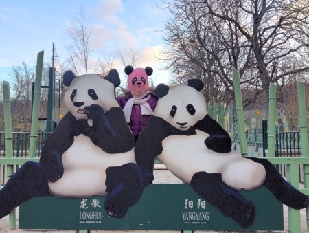 Ursi Panda Atelier de crestere a increderii in sine