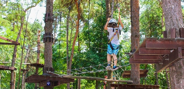 Parcuri de aventura Excursii Cool in Familie la Mai Puţin de 100 km de Bucuresti 
