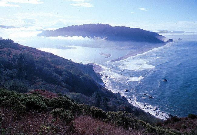 estuar Vacanta Cei Trei Muschetari Saptamana 11