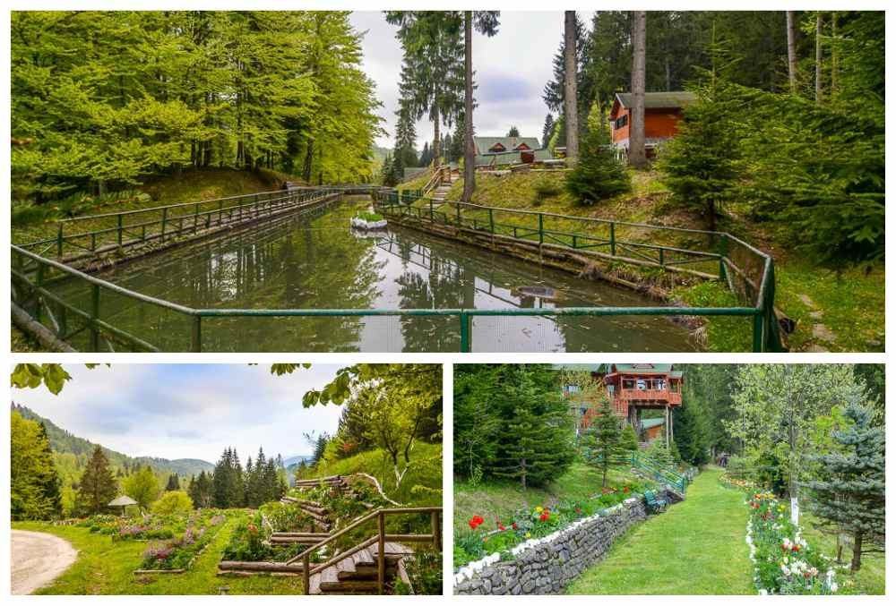 Hadar Chalet, Vilă de Lux Kid-Friendly la Gura Siriului