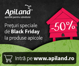 black-friday-apiland-300x250