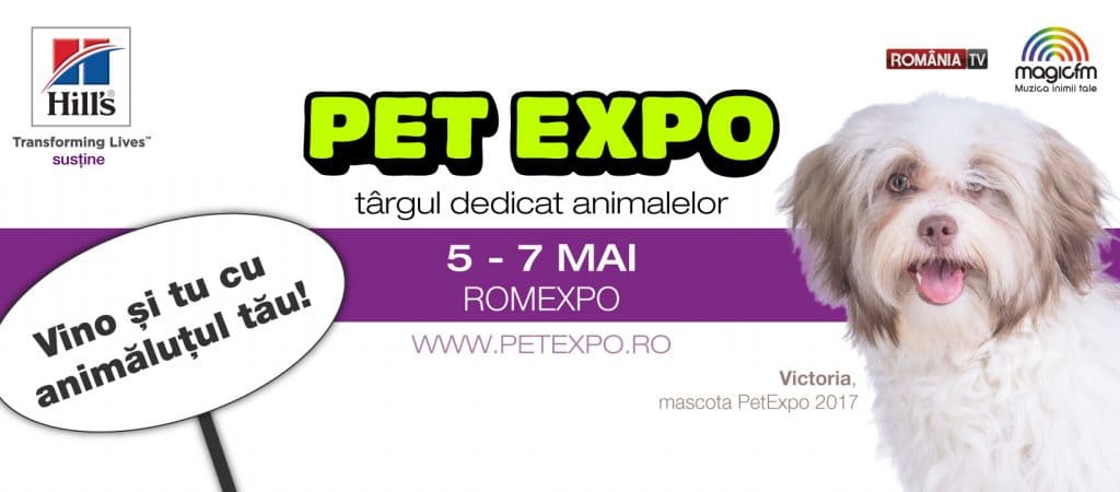 Pet Expo 2017 festivaluri