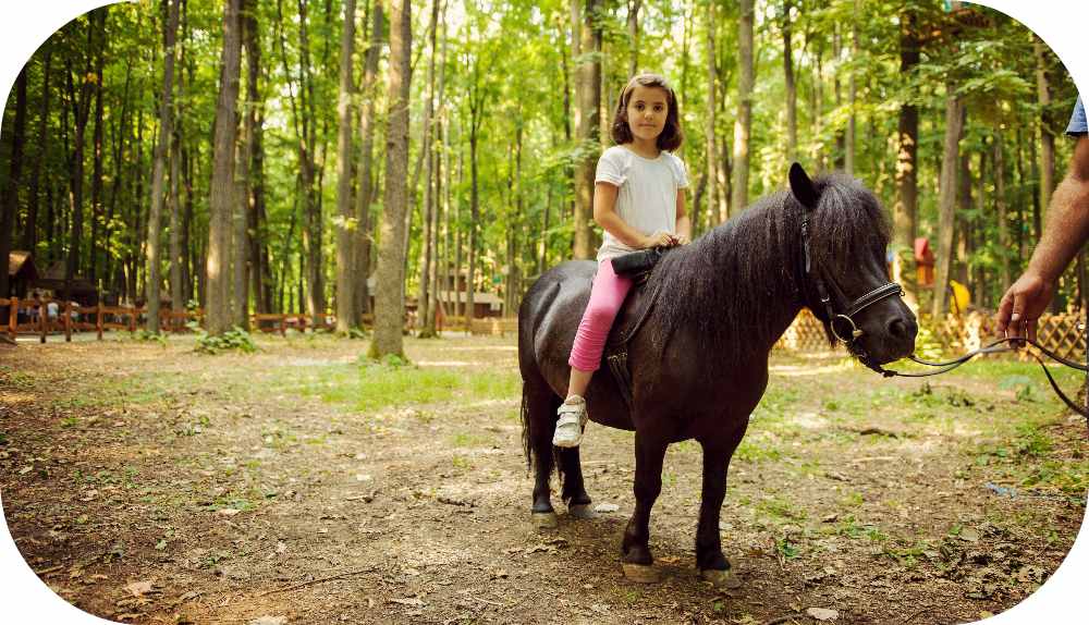 Excursii în Familie la Cai Eden Ranch