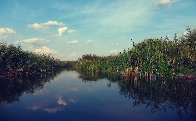 Păduri Bucureşti Padurea Comana Delta Neajlovului Păduri Bucureşti Padurea Comana Delta Neajlovului