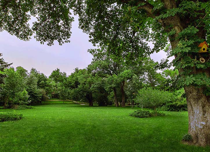 Excursii de Relaxare în Familie Domeniul Manasia parc