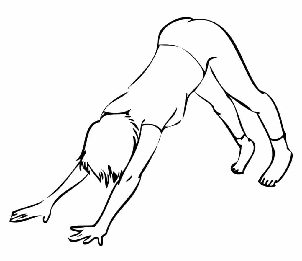 downward facing dog Posturi de Yoga Pentru Energie câinele