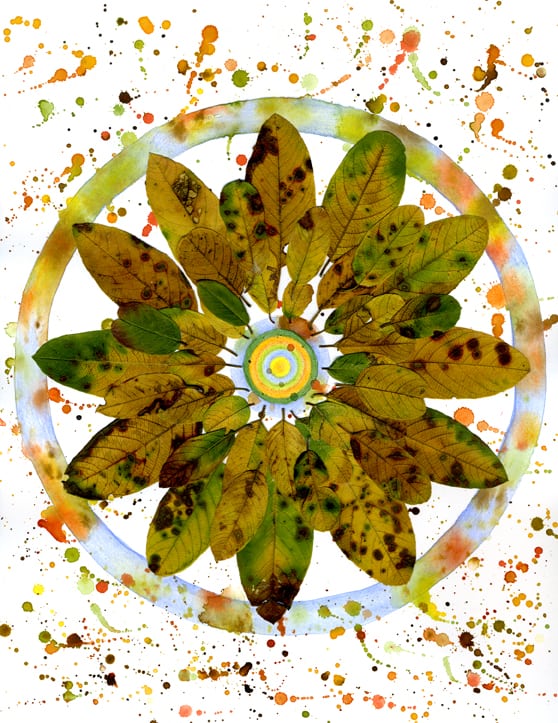 activitate cu frunze mandală din frunze activitate cu frunze mandală din frunze