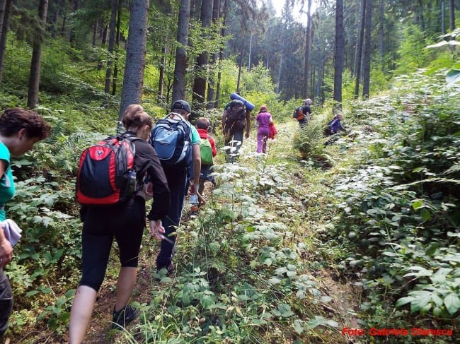 Tabără de Vară pentru Adolescenți 13 – 18 ani Bucovina padure drumetie