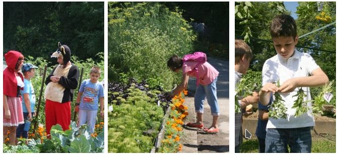 muzee kid-friendly gradina botanica