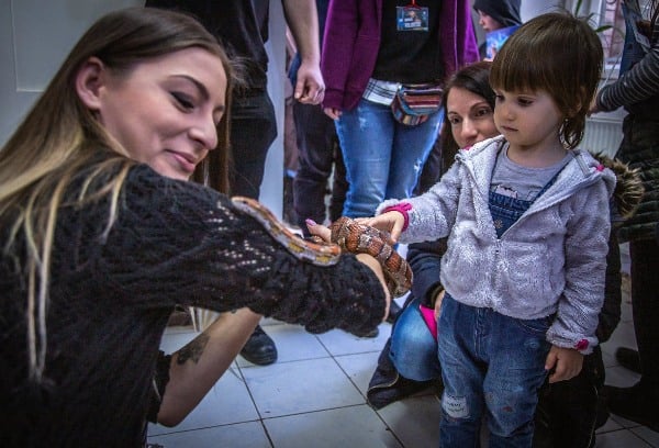 Vivariul Cluj Napoca copii vizitatori sarpe