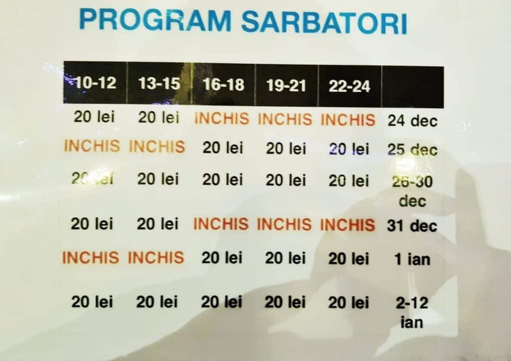 patinoar cismigiu program preturi