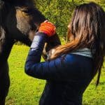 Plimbare Calare & Tir cu Arcul. Evadare de Weekend Plimbare calare & Tir cu arcul